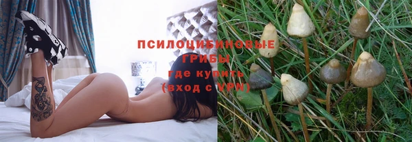 mdma Осташков