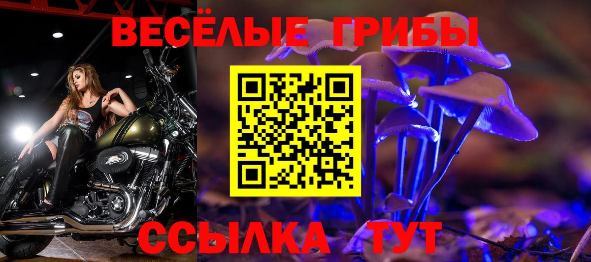 Галлюциногенные грибы мицелий Сальск