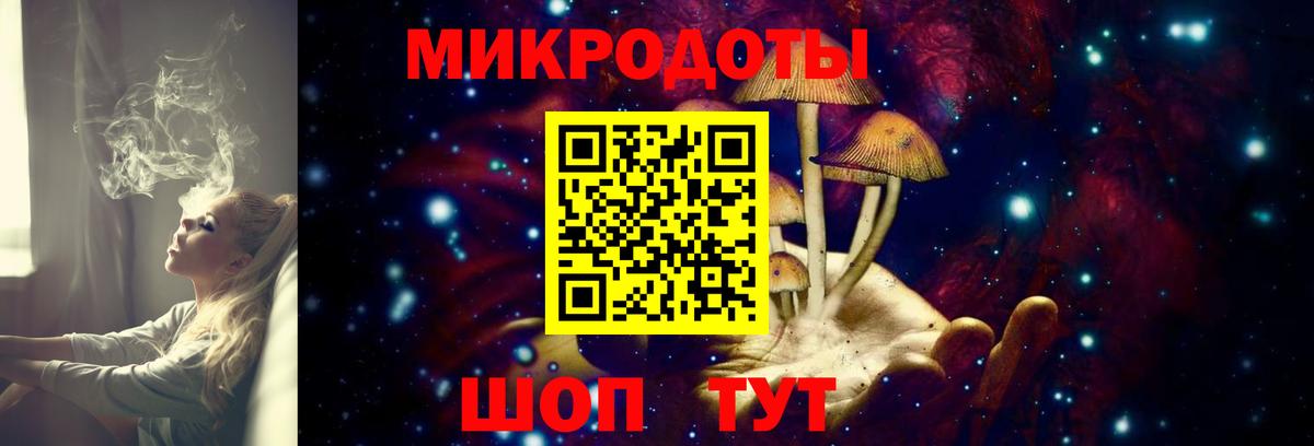 Псилоцибиновые грибы MAGIC MUSHROOMS  Галлюциногенные грибы мухоморы  Вход с VPN  Сальск 